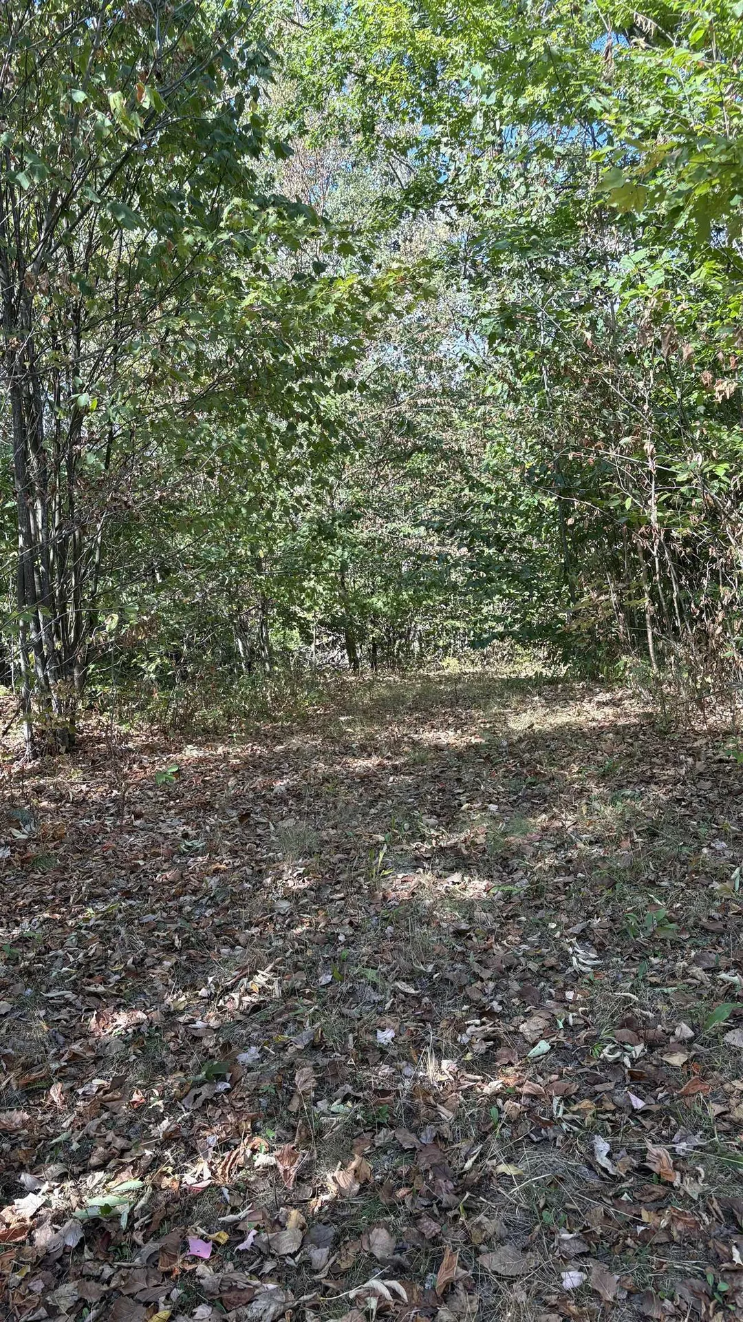 11 Summit Drive Franconia NH 03580