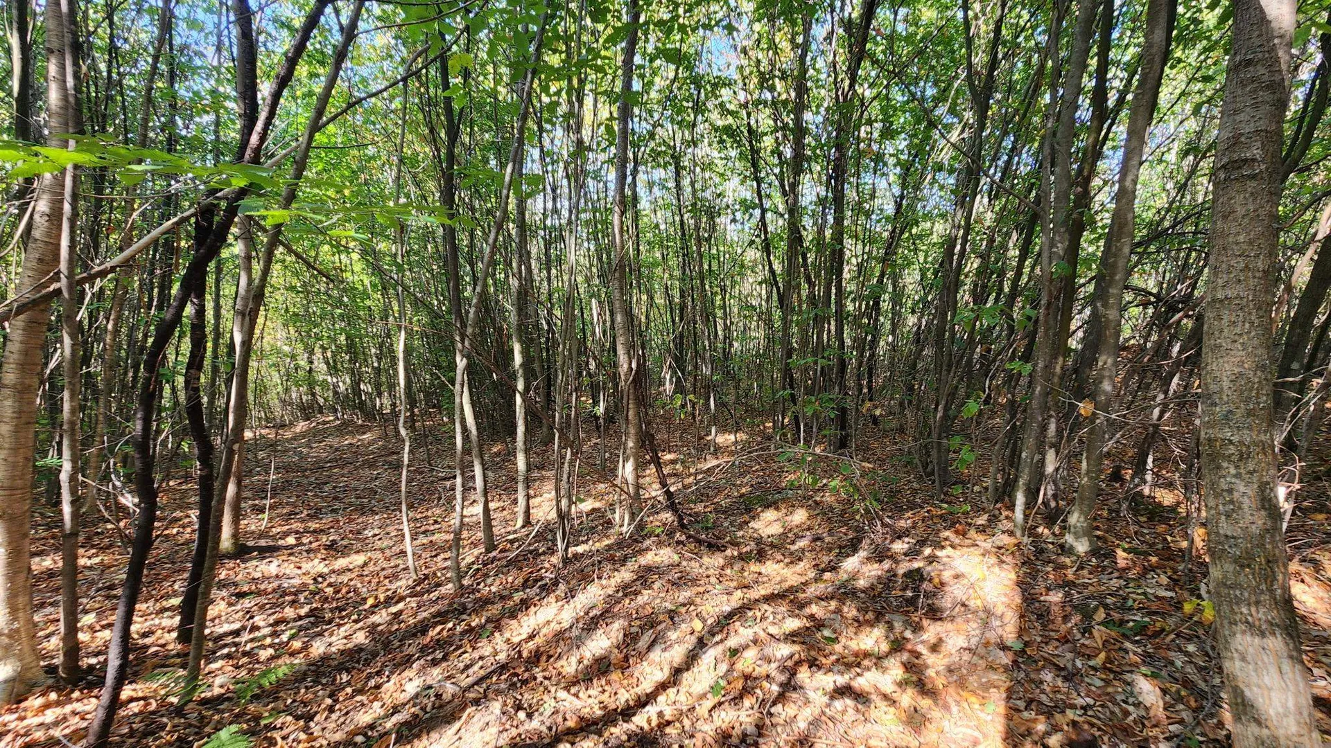 11 Summit Drive Franconia NH 03580