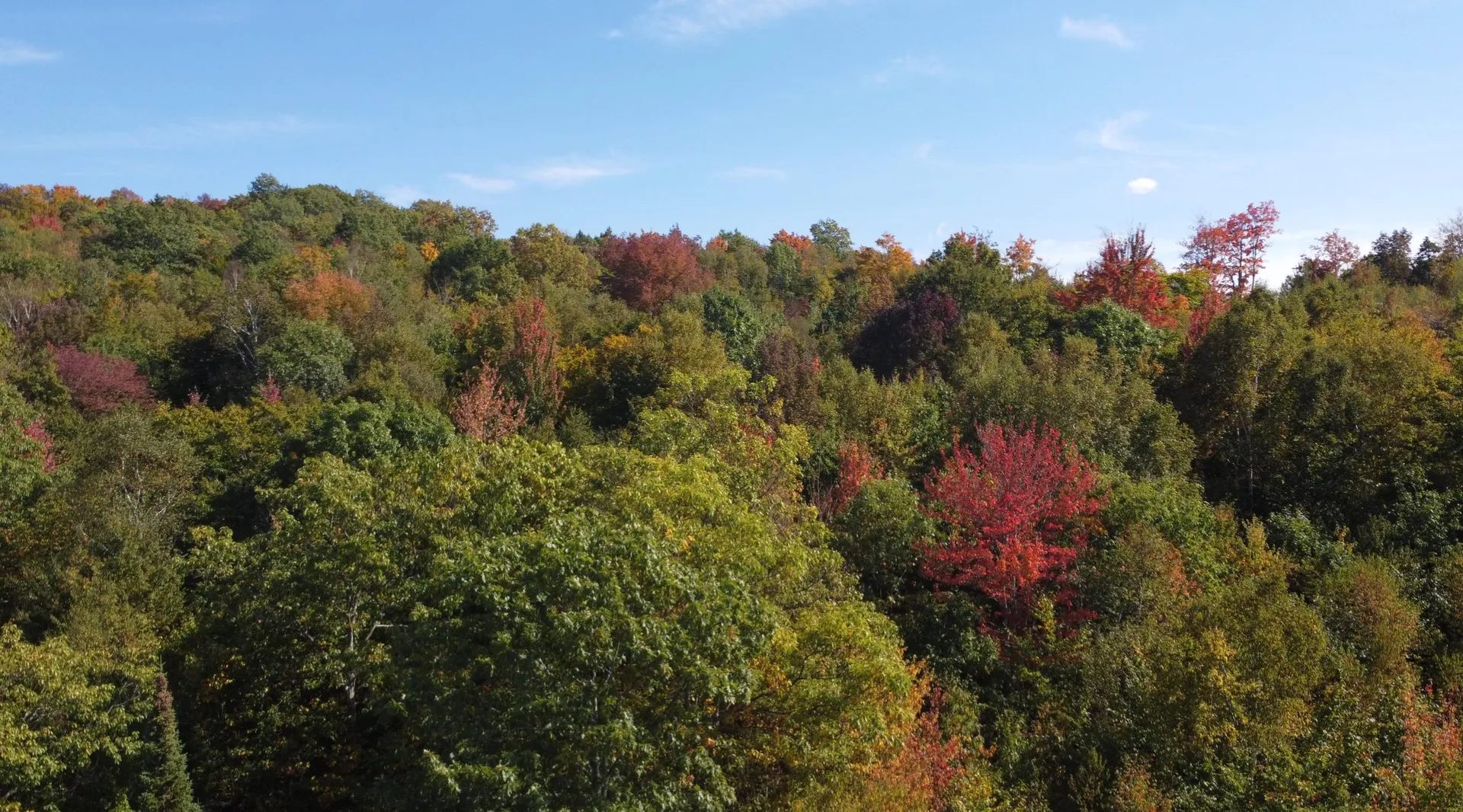 11 Summit Drive Franconia NH 03580