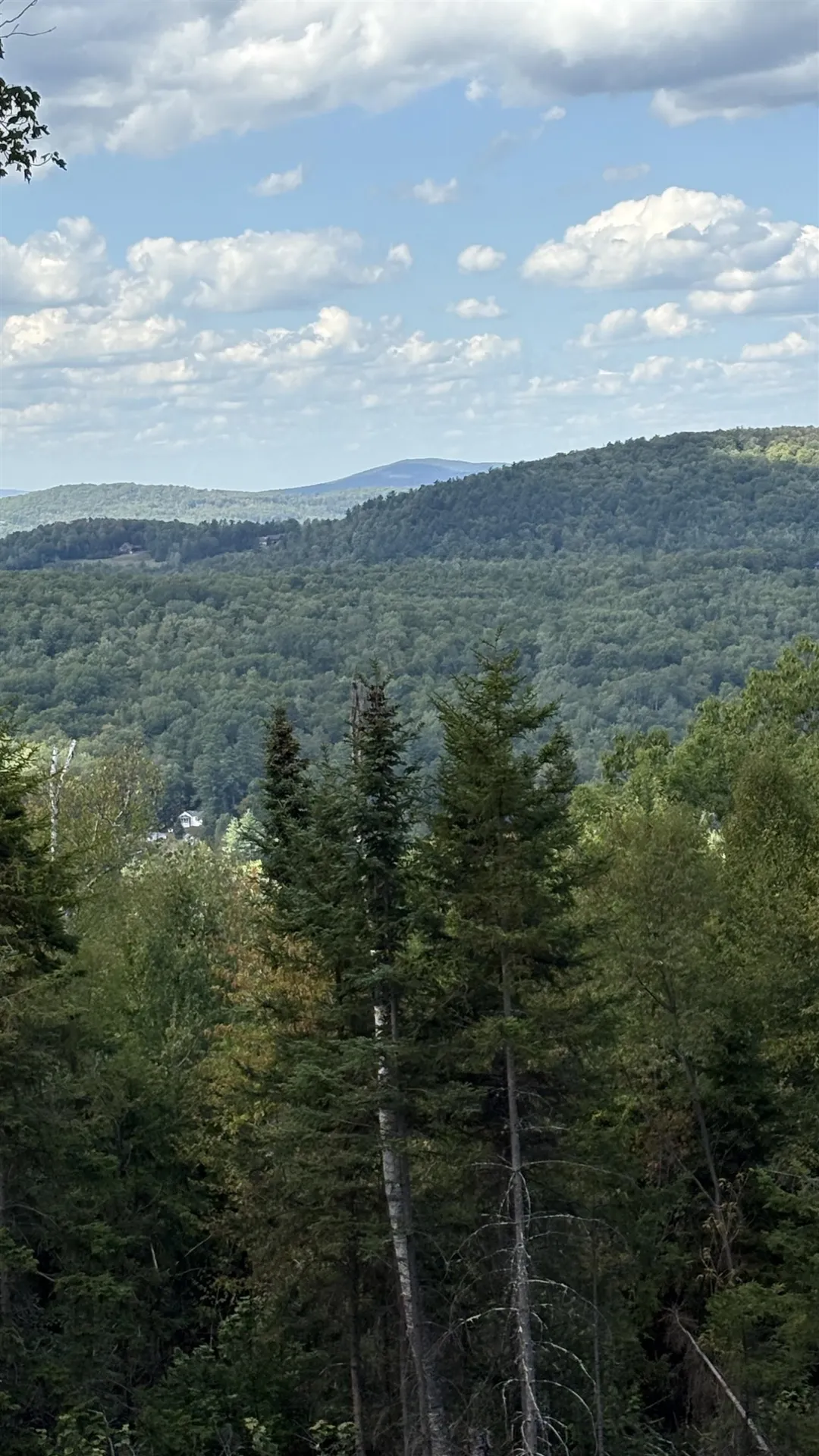 11 Summit Drive Franconia NH 03580