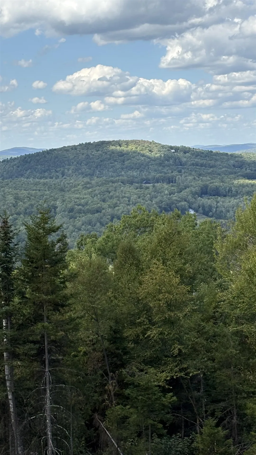 11 Summit Drive Franconia NH 03580