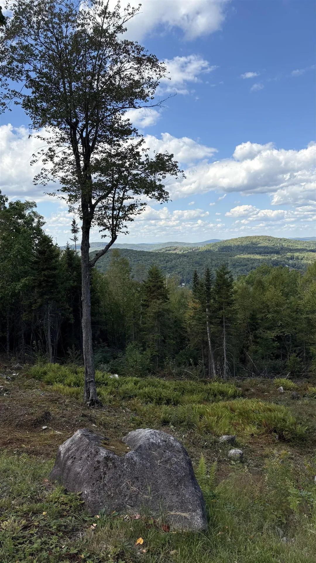 11 Summit Drive Franconia NH 03580