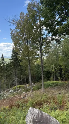 11 Summit Drive Franconia NH 03580