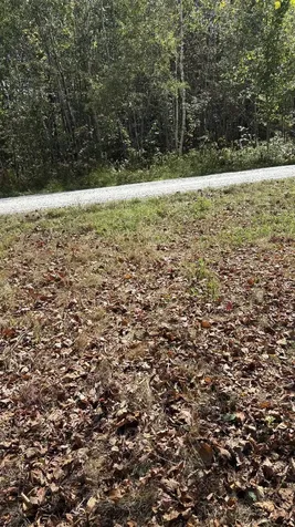 11 Summit Drive Franconia NH 03580