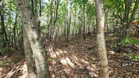 11 Summit Drive Franconia NH 03580