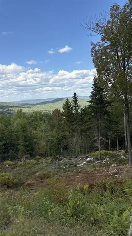 11 Summit Drive Franconia NH 03580