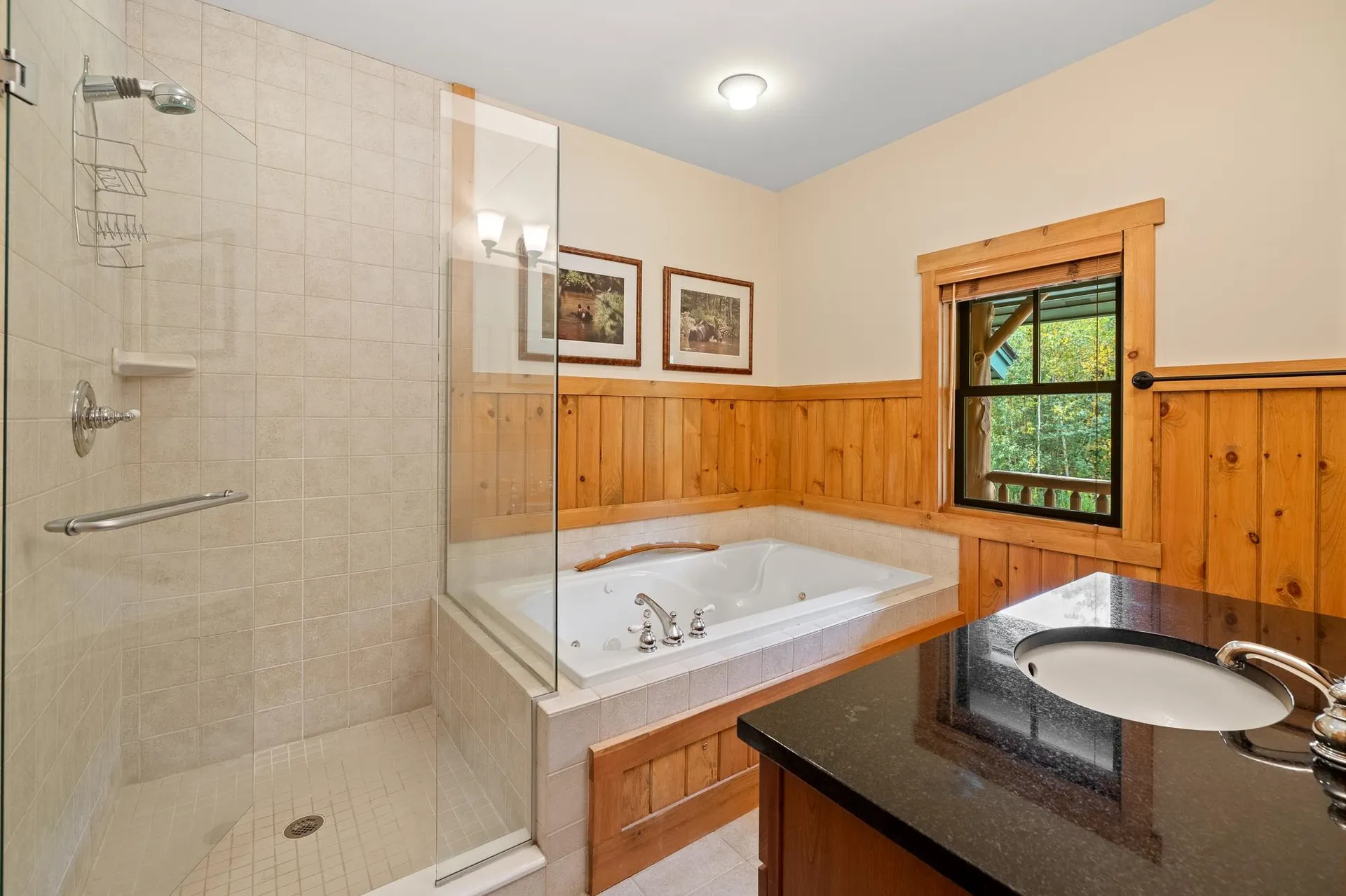 4B Hardwood Hill Stratton VT 05155