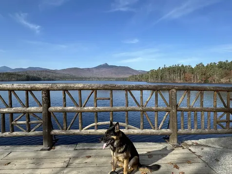 27 Butternut Lane Tamworth NH 03882