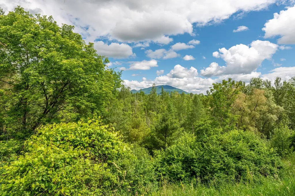 263 Kestrel Court Manchester VT 05254