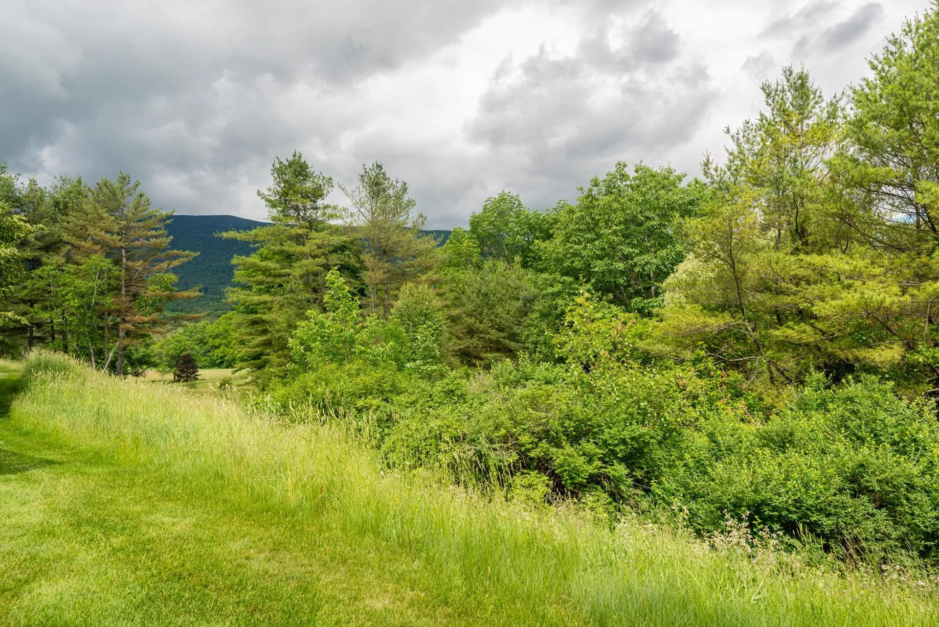 263 Kestrel Court Manchester VT 05254