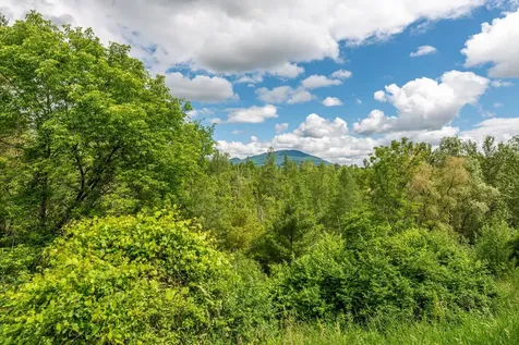 263 Kestrel Court Manchester VT 05254