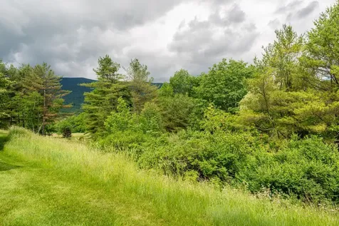 263 Kestrel Court Manchester VT 05254