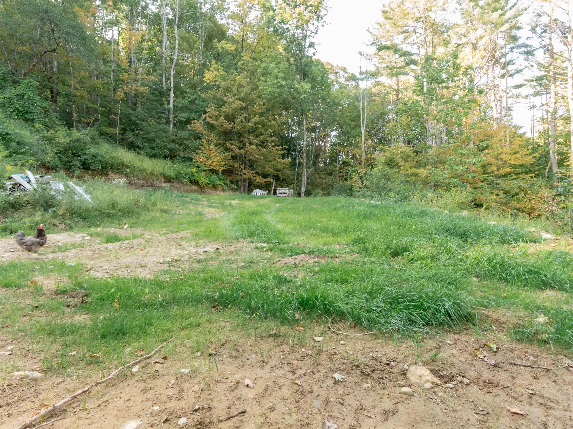 231 Chesterfield Road Hinsdale NH 03451