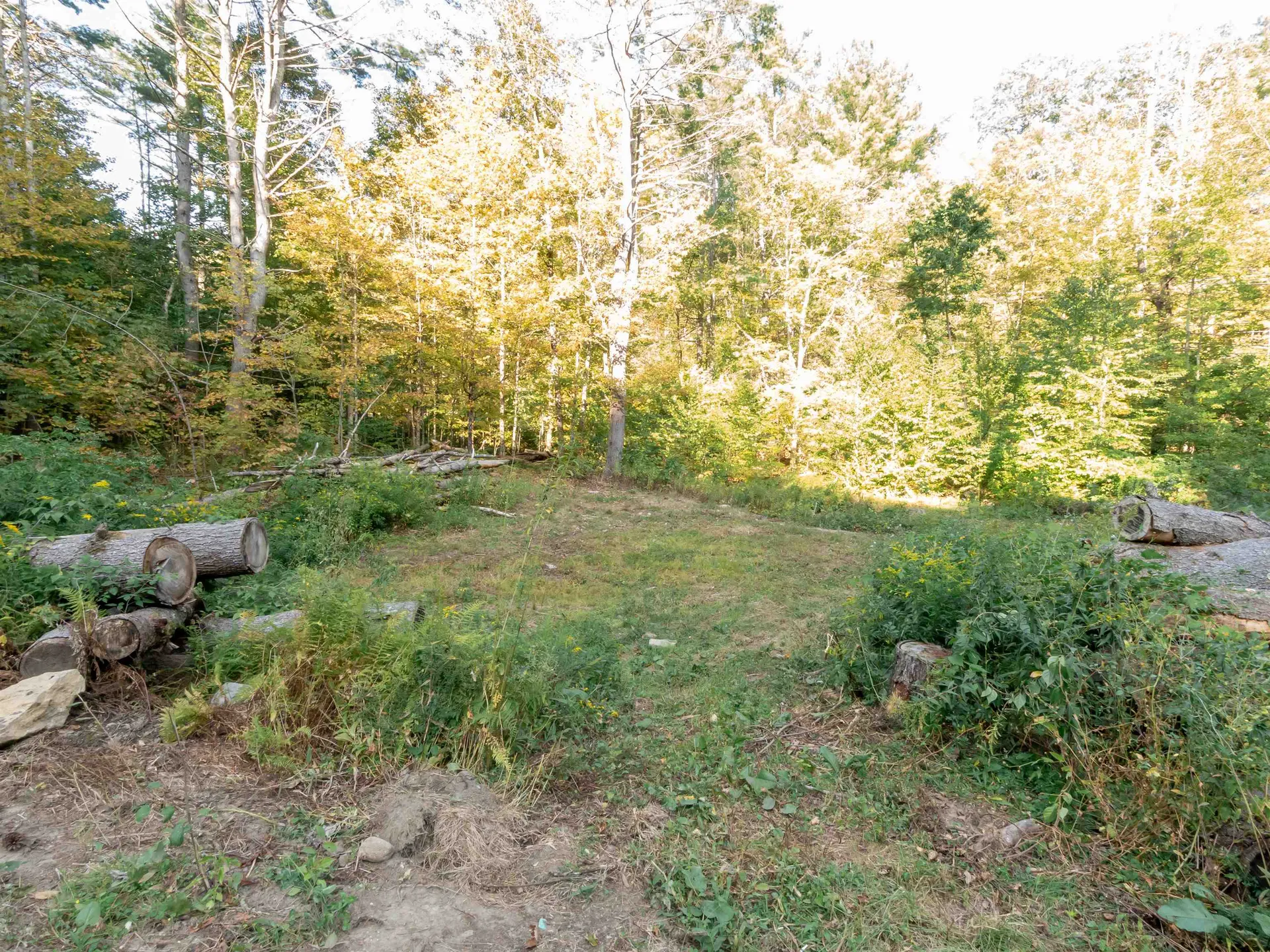 231 Chesterfield Road Hinsdale NH 03451