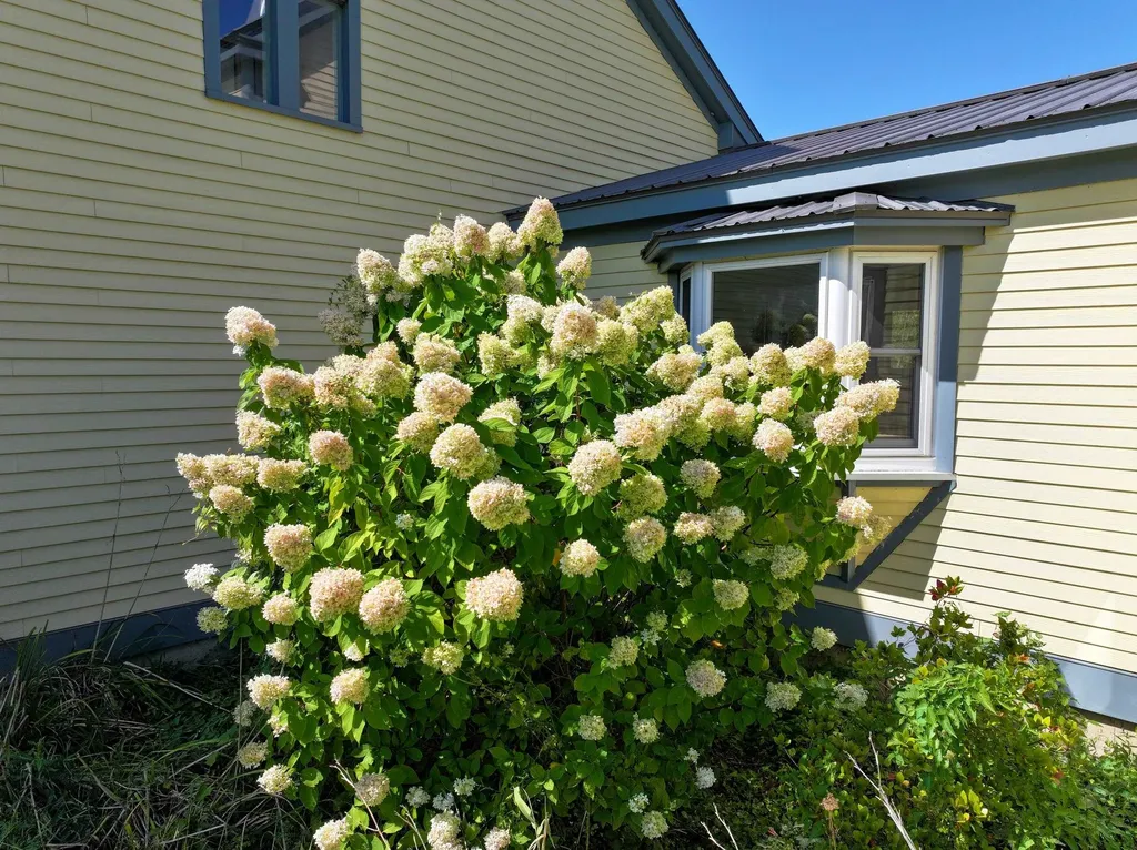 417 Painter Road Middlebury VT 05753