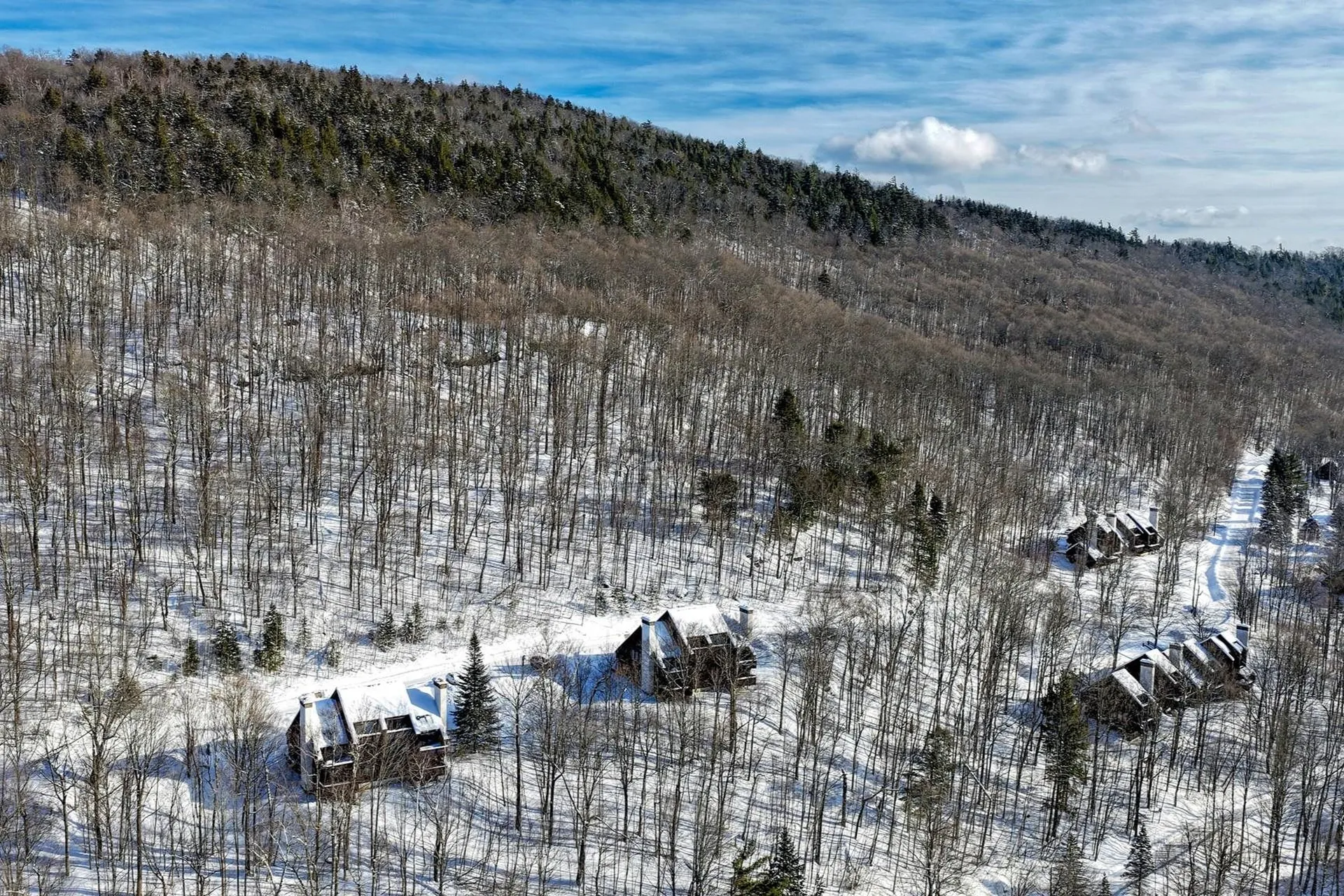 107 Blueberry Ledge Ridge Plymouth VT 05056