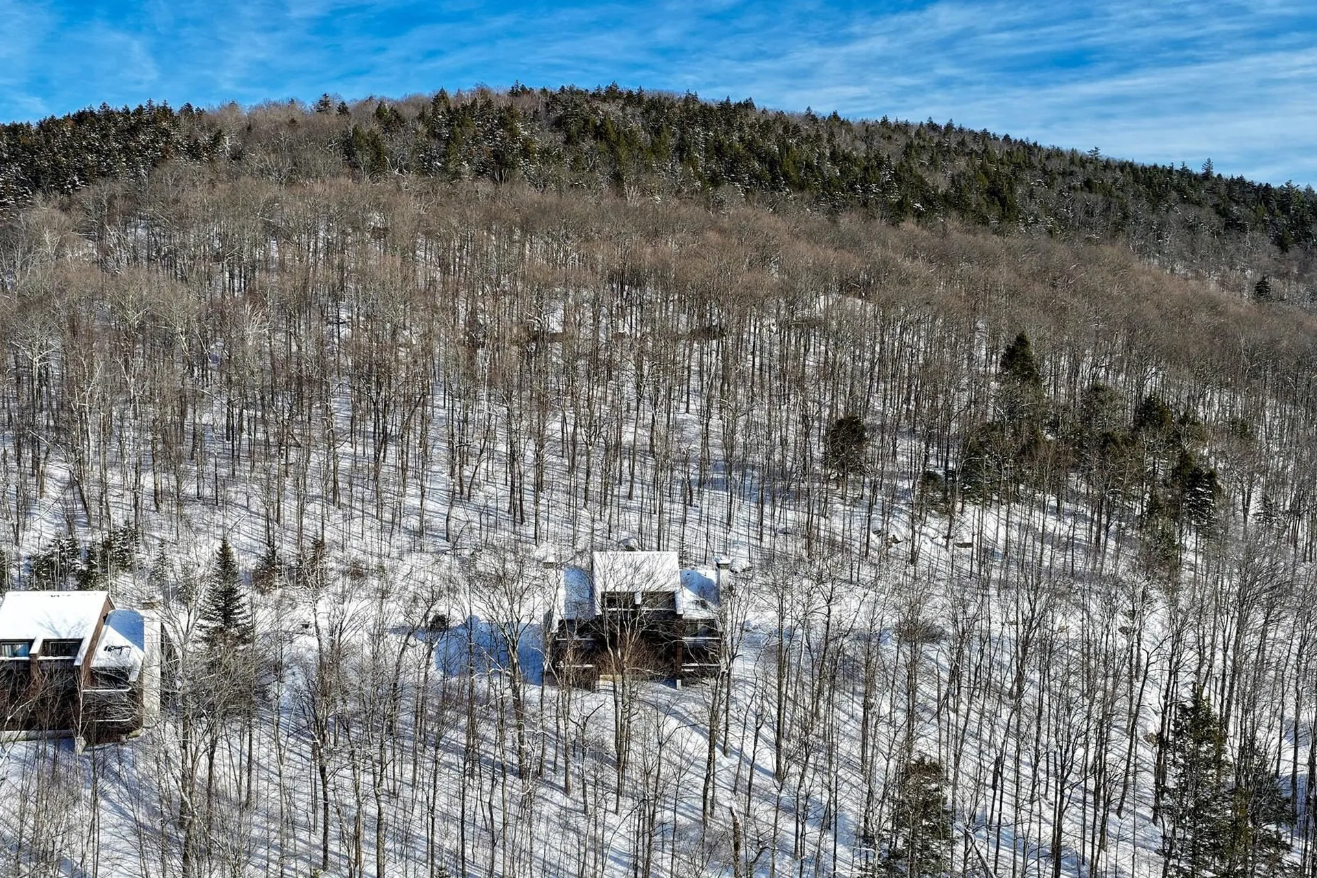 107 Blueberry Ledge Ridge Plymouth VT 05056