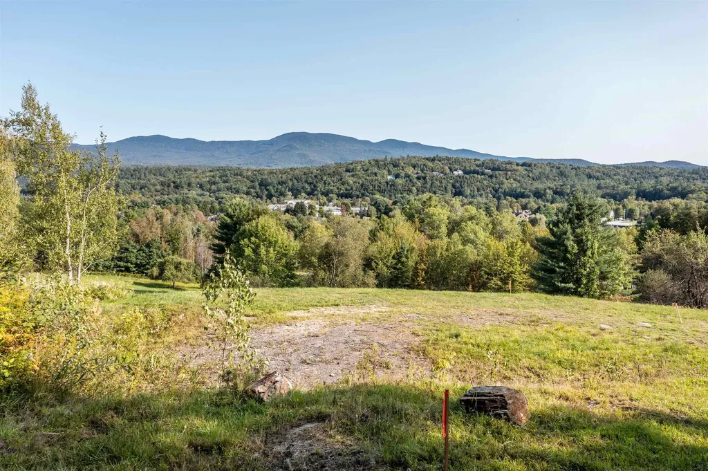 131 Hazy Lane Stowe VT 05672