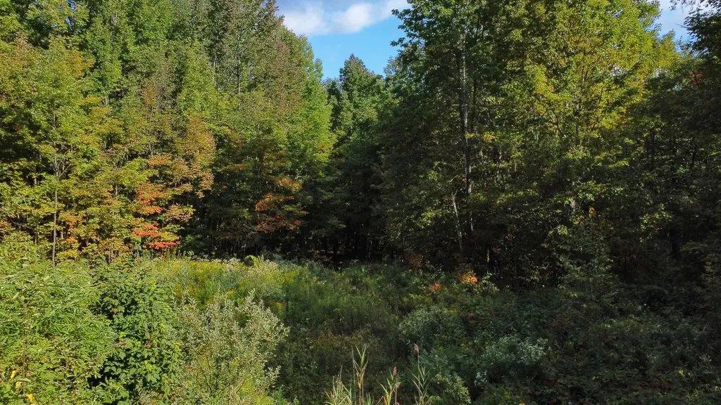 00 Peterson Road Topsham VT 05076