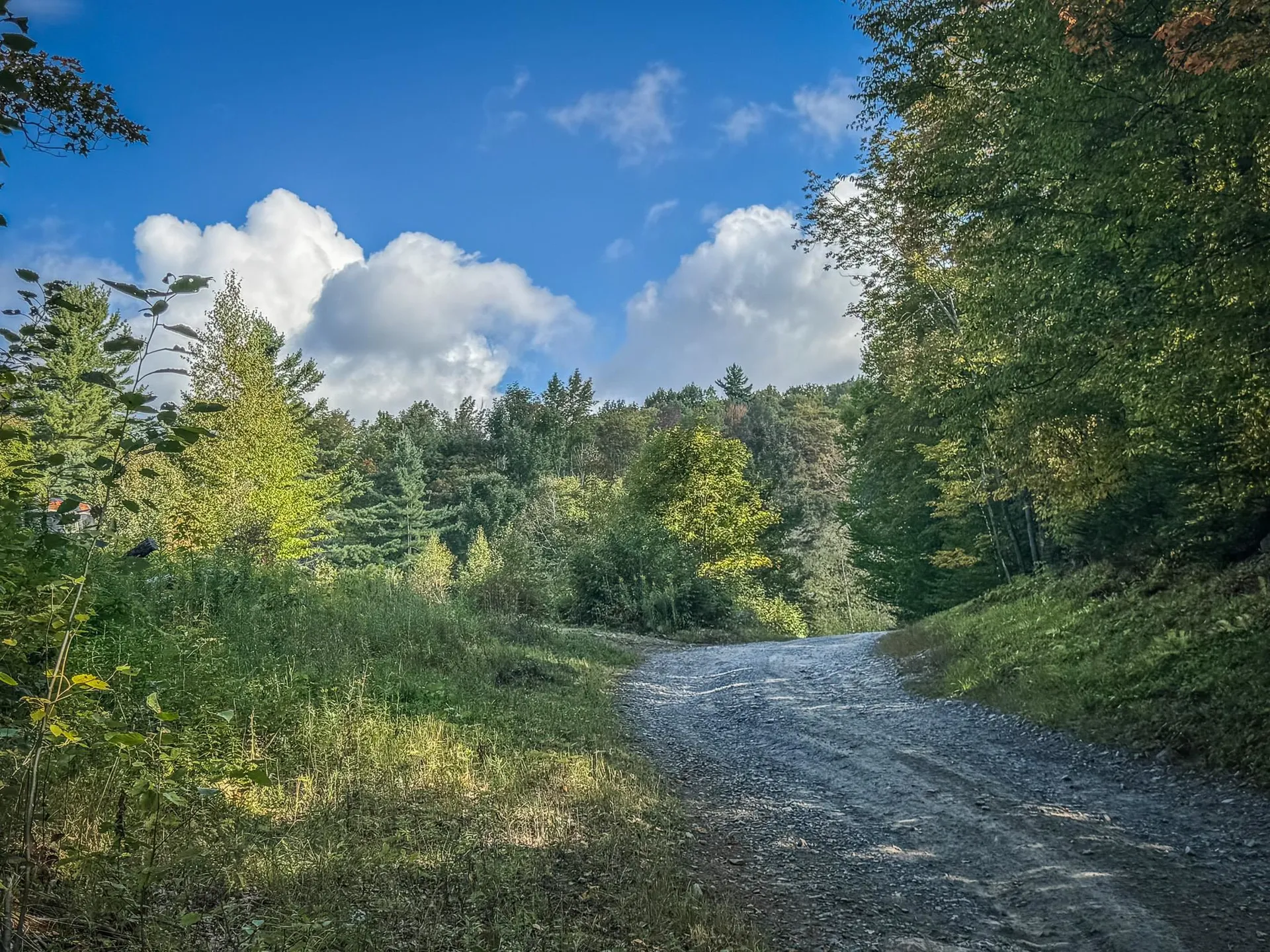 00 Peterson Road Topsham VT 05076