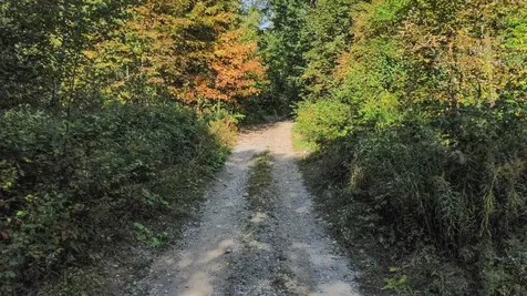 00 Peterson Road Topsham VT 05076