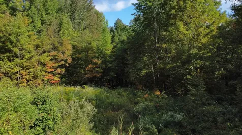 00 Peterson Road Topsham VT 05076