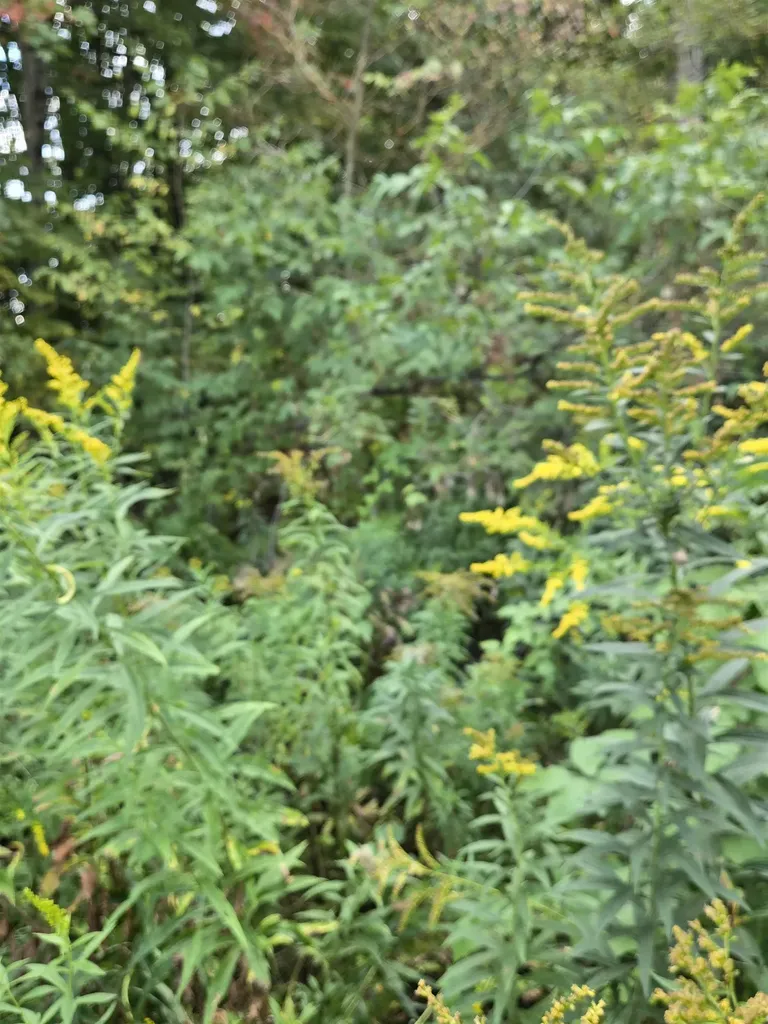 124-125 Prospect Street Barre City VT 05641