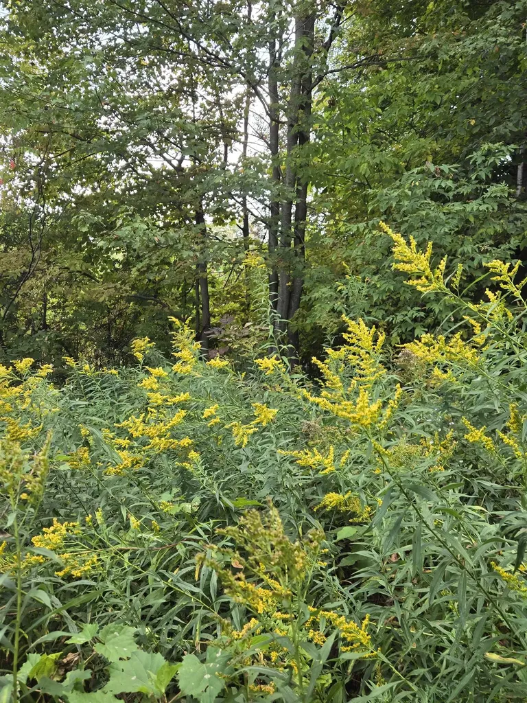 124-125 Prospect Street Barre City VT 05641