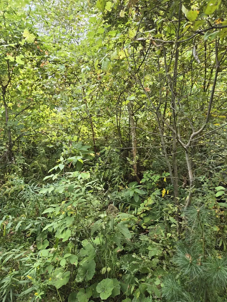 124-125 Prospect Street Barre City VT 05641