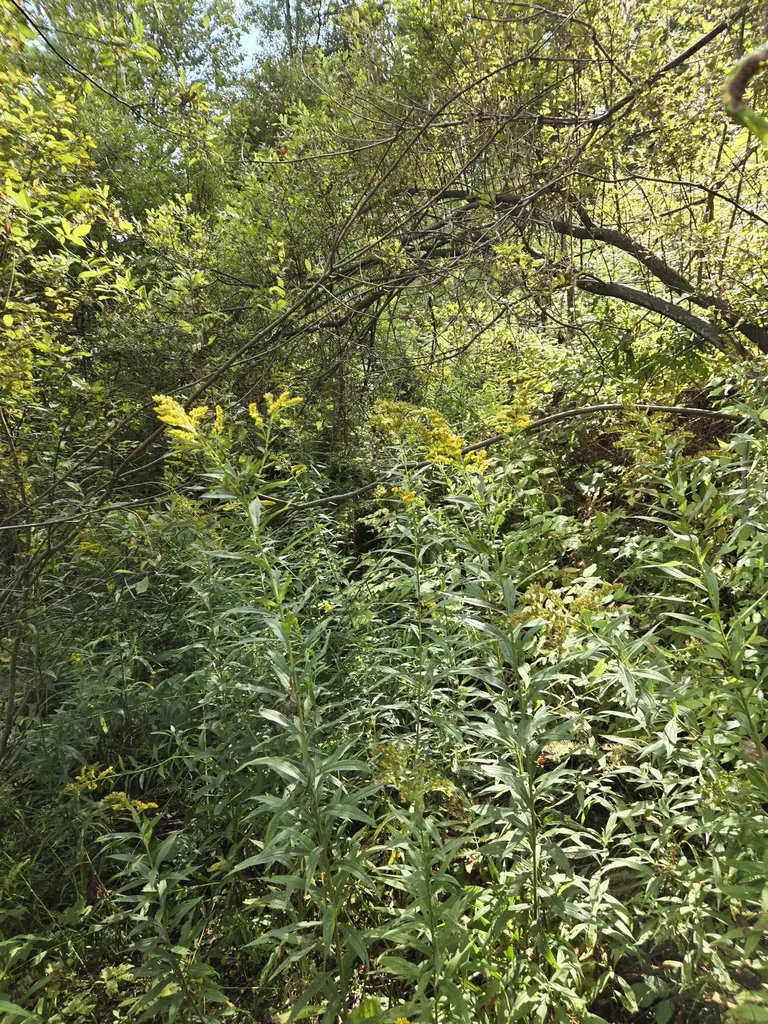 124-125 Prospect Street Barre City VT 05641