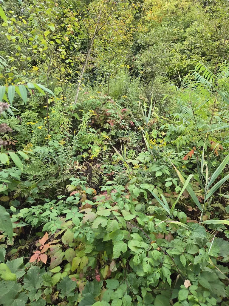 124-125 Prospect Street Barre City VT 05641