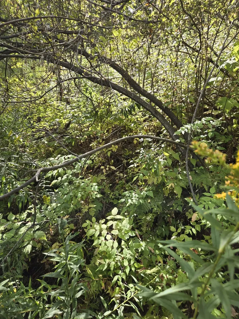 124-125 Prospect Street Barre City VT 05641