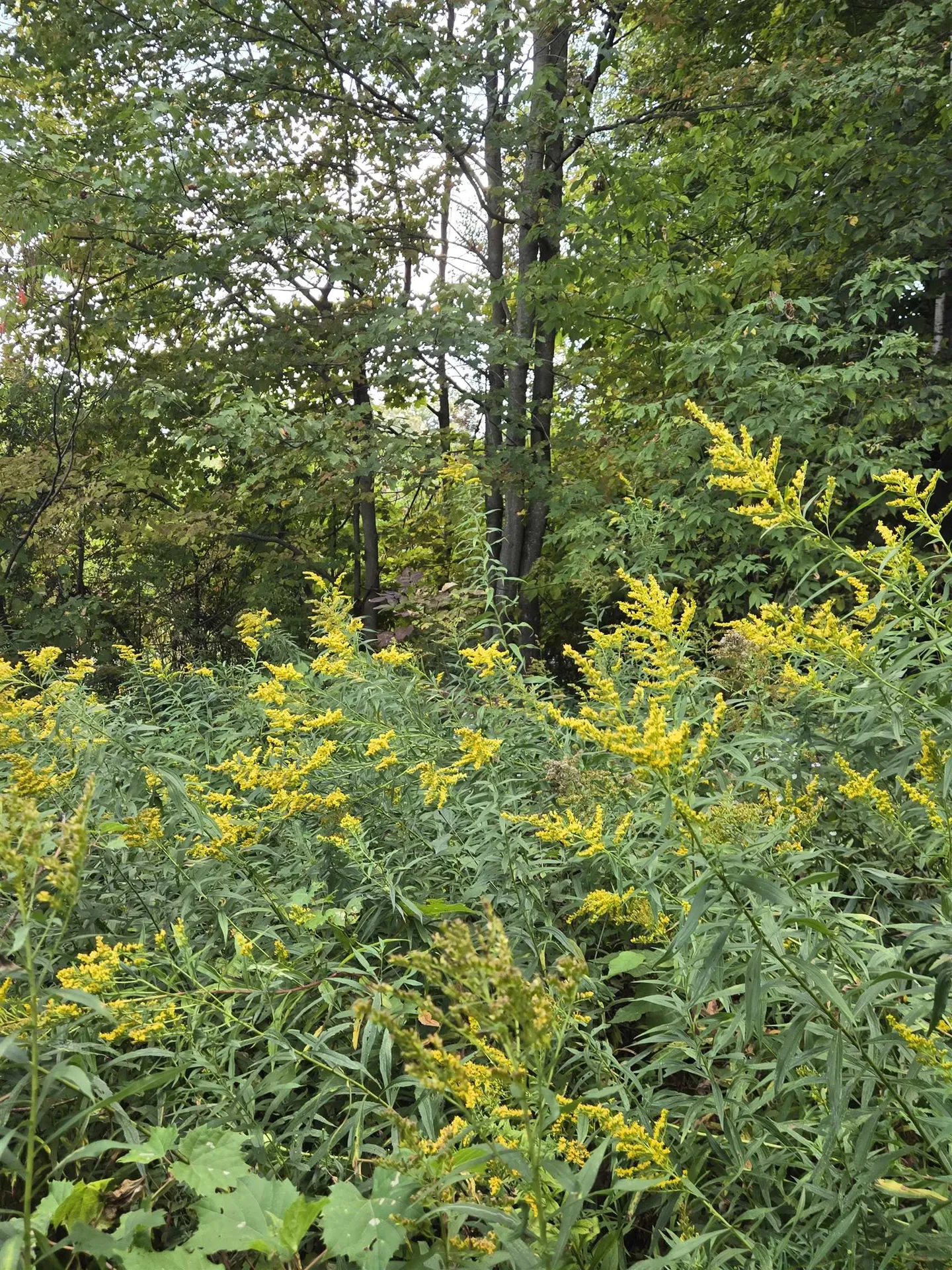 124-125 Prospect Street Barre City VT 05641