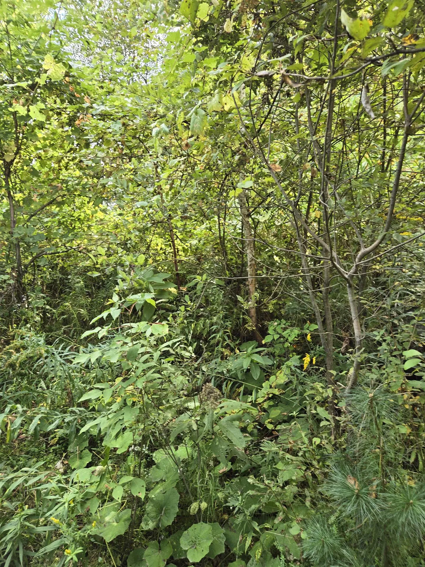 124-125 Prospect Street Barre City VT 05641