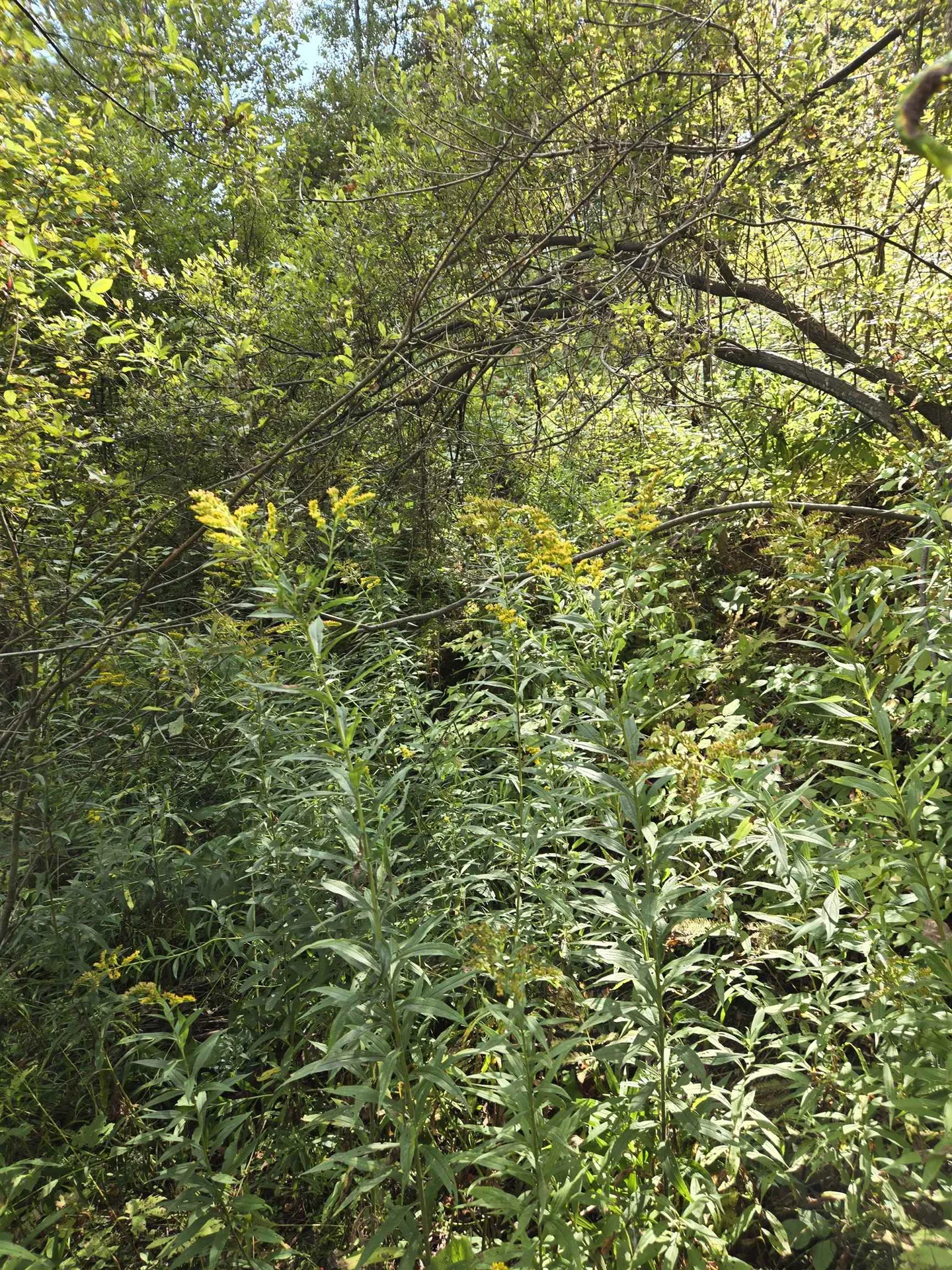 124-125 Prospect Street Barre City VT 05641