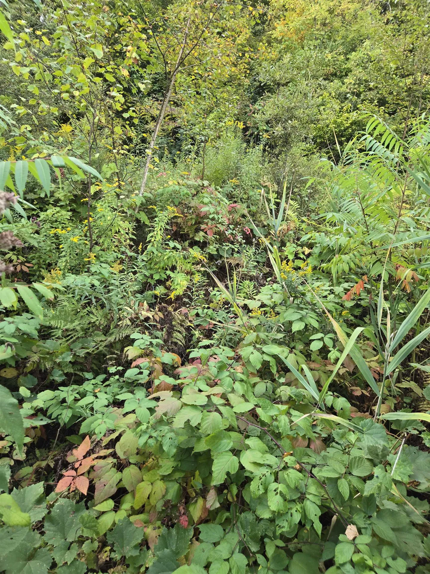 124-125 Prospect Street Barre City VT 05641