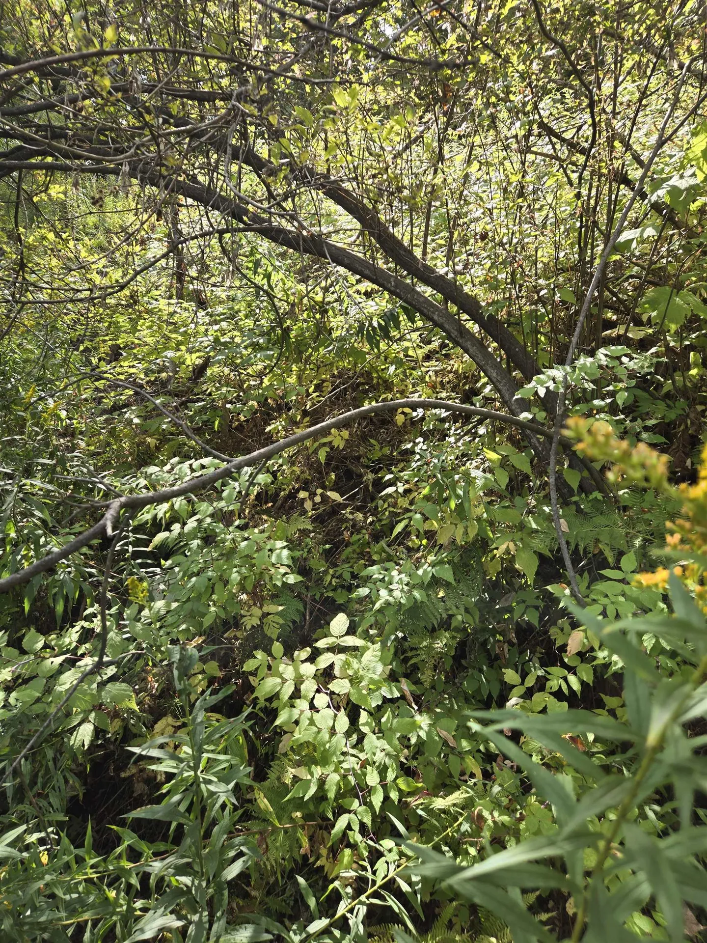 124-125 Prospect Street Barre City VT 05641