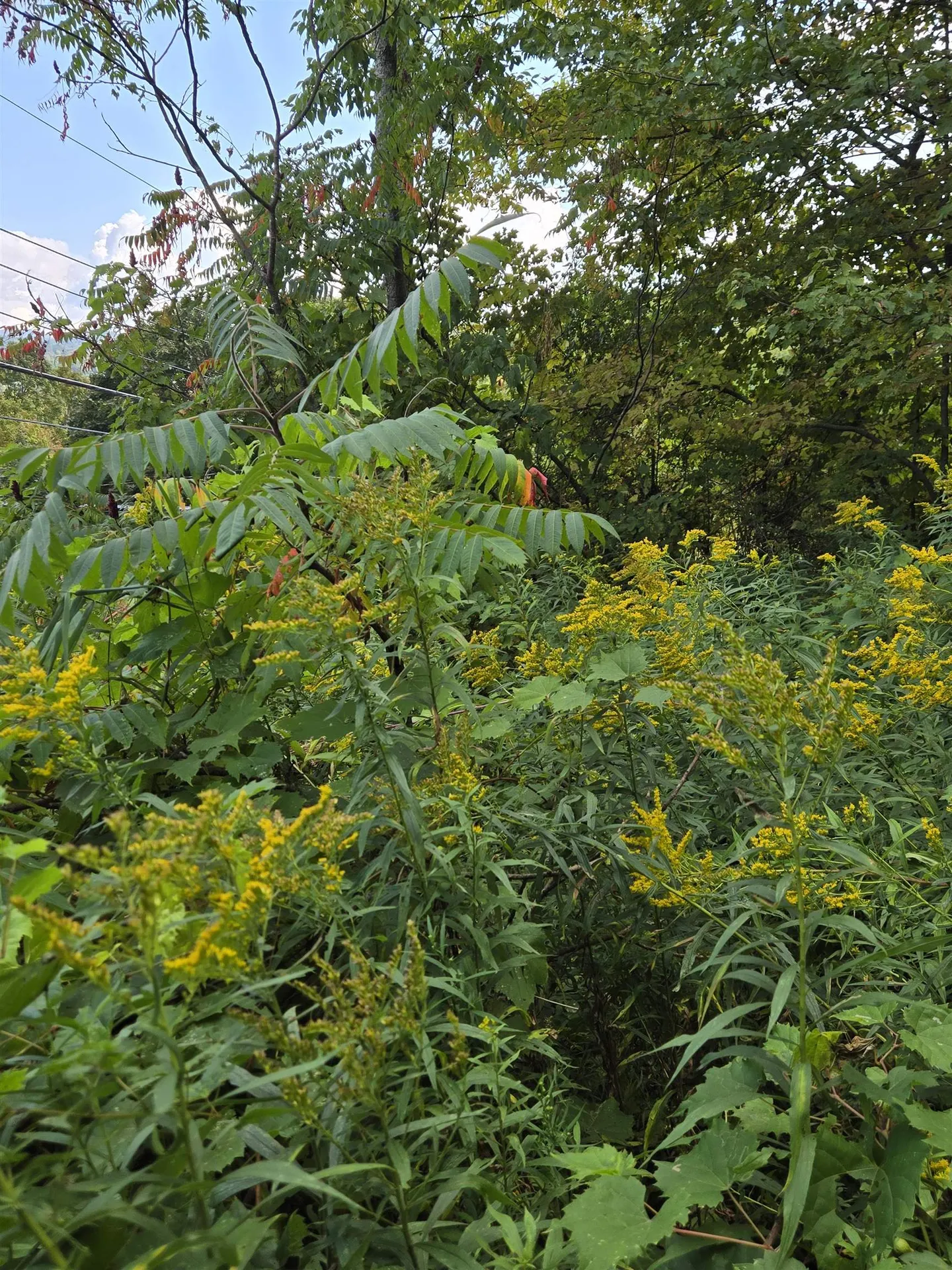 124-125 Prospect Street Barre City VT 05641