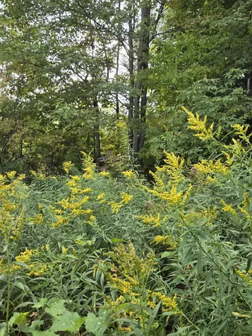 124-125 Prospect Street Barre City VT 05641