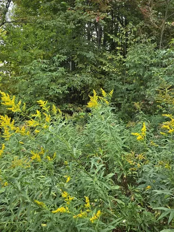 124-125 Prospect Street Barre City VT 05641