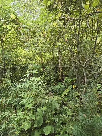 124-125 Prospect Street Barre City VT 05641