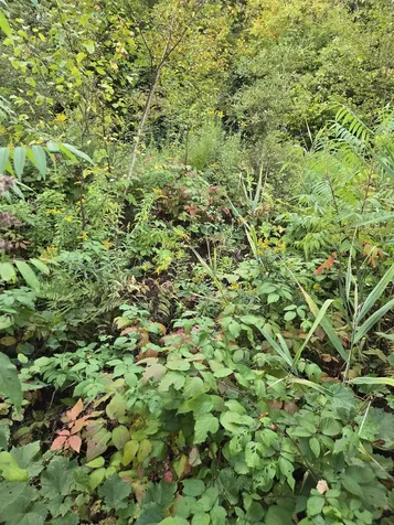 124-125 Prospect Street Barre City VT 05641