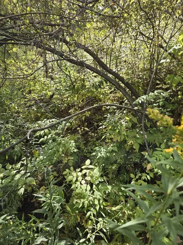 124-125 Prospect Street Barre City VT 05641