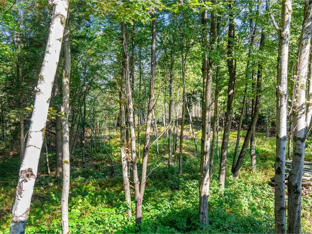 805 Deming Road Enosburg VT 05450