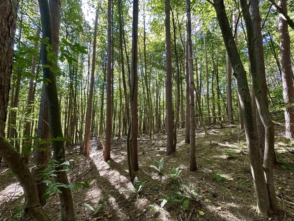 3606 Kent Hollow Road Rupert VT 05778