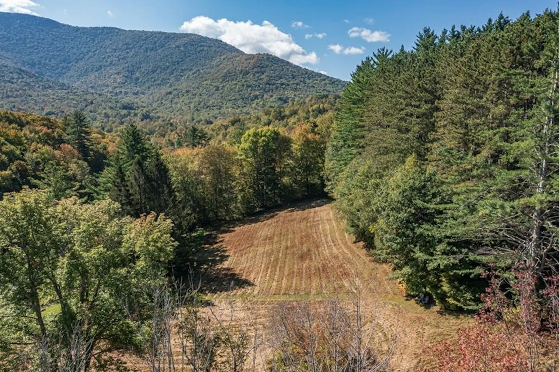 3606 Kent Hollow Road Rupert VT 05778