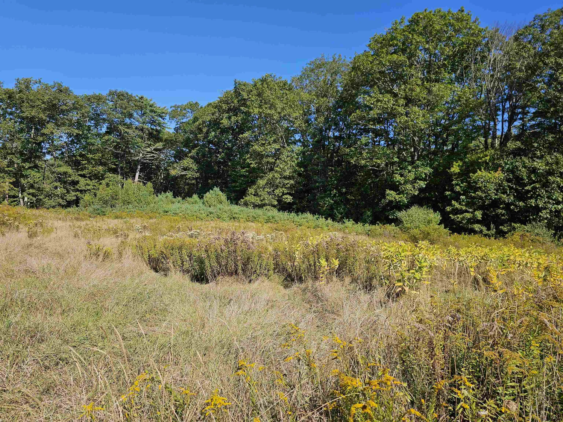 0 Shaw Road Barnstead NH 03218