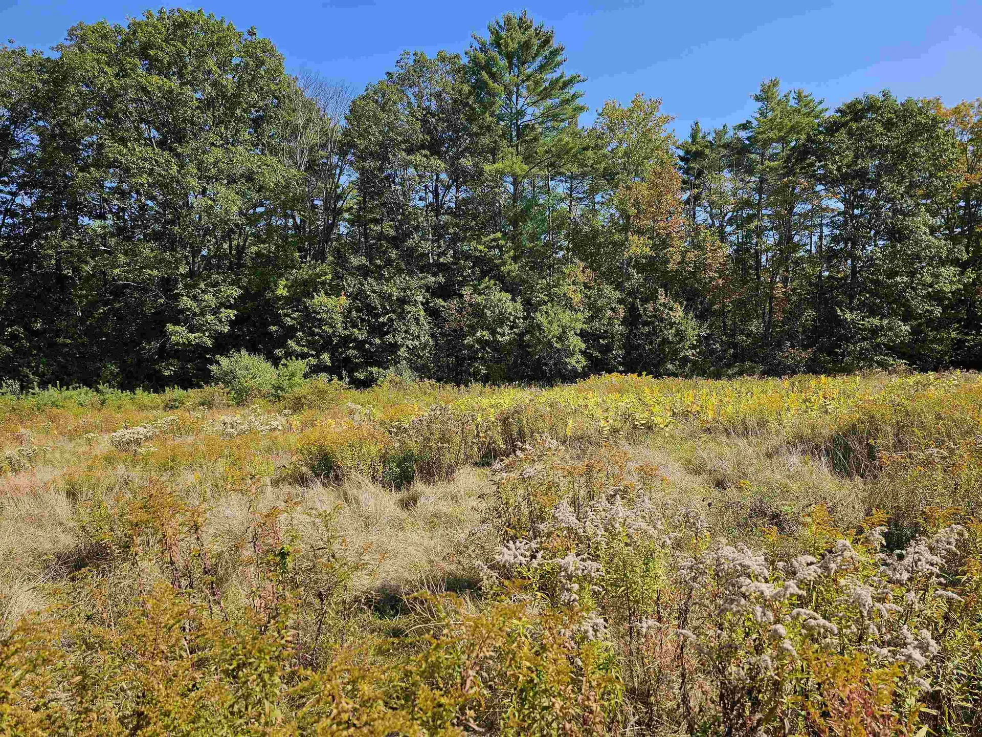 0 Shaw Road Barnstead NH 03218