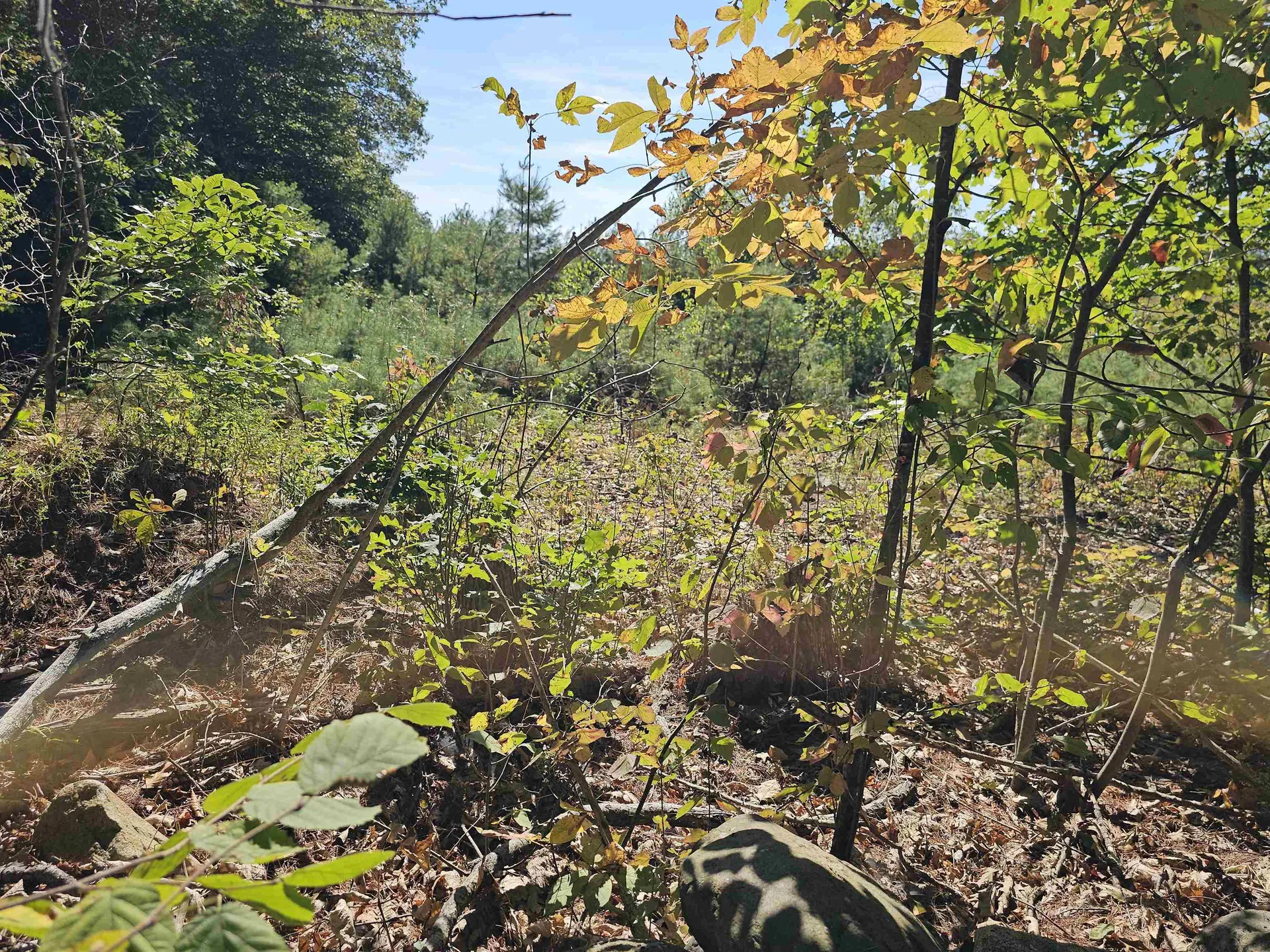 0 Shaw Road Barnstead NH 03218