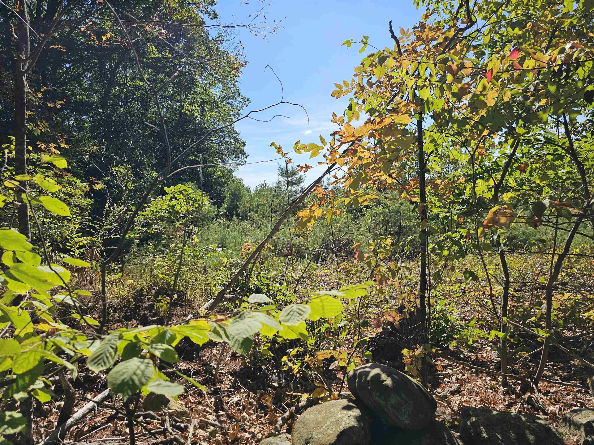 0 Shaw Road Barnstead NH 03218